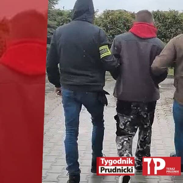 Zdjęcie