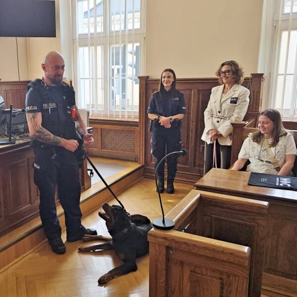 Zdjęcie