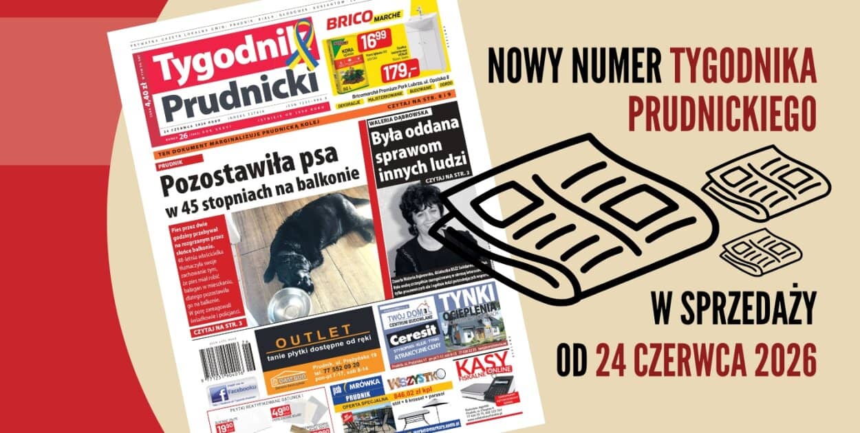 Zdjęcie