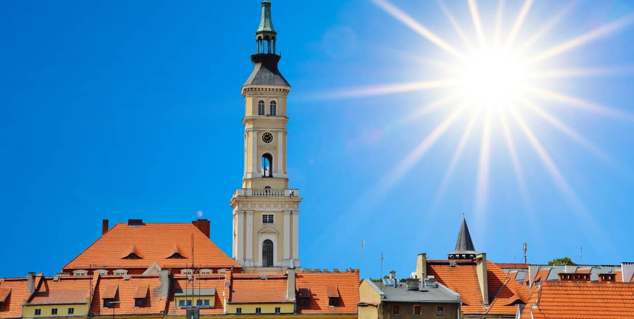 Zdjęcie