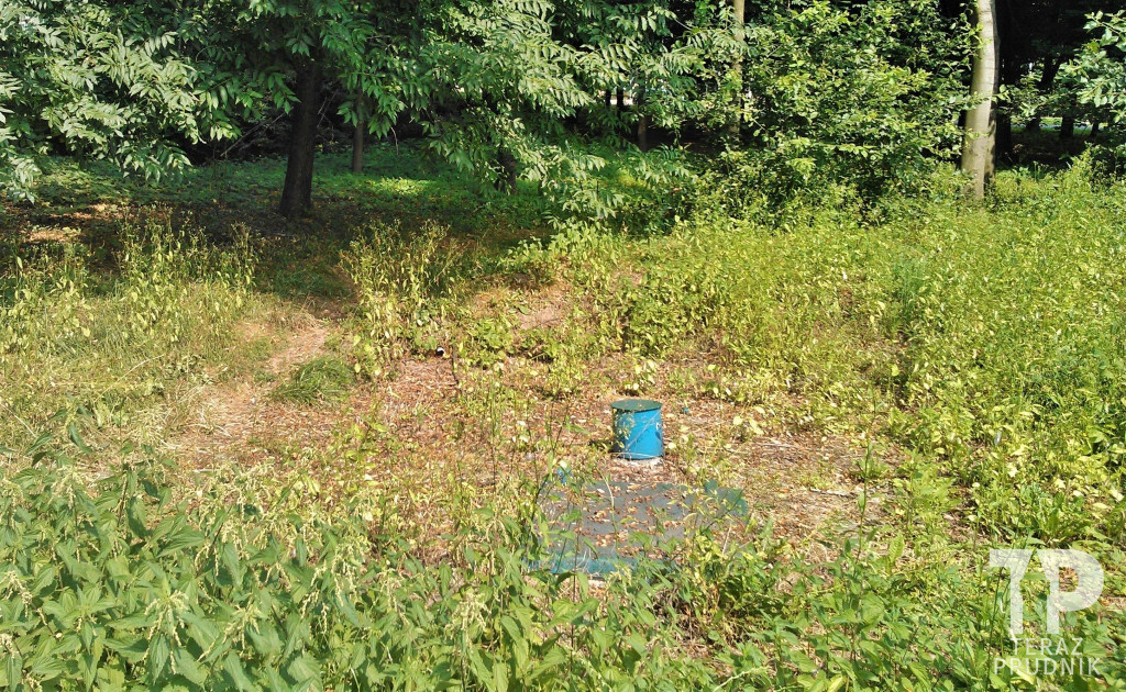 Ulica ks. Józefa Poniatowskiego: Do sanktuarium