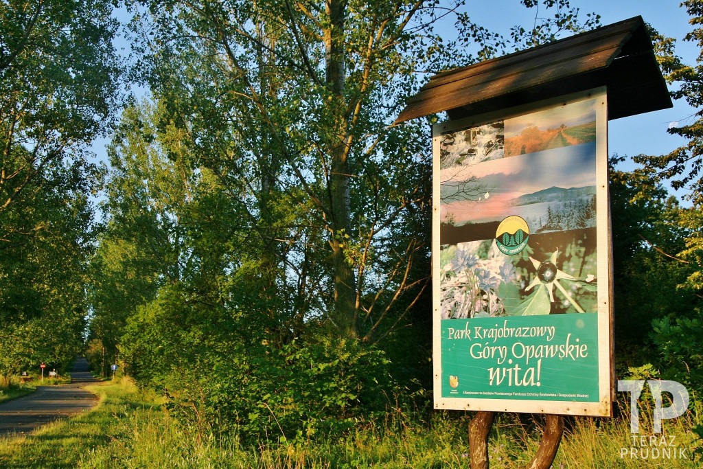 Ulica ks. Józefa Poniatowskiego: Do sanktuarium