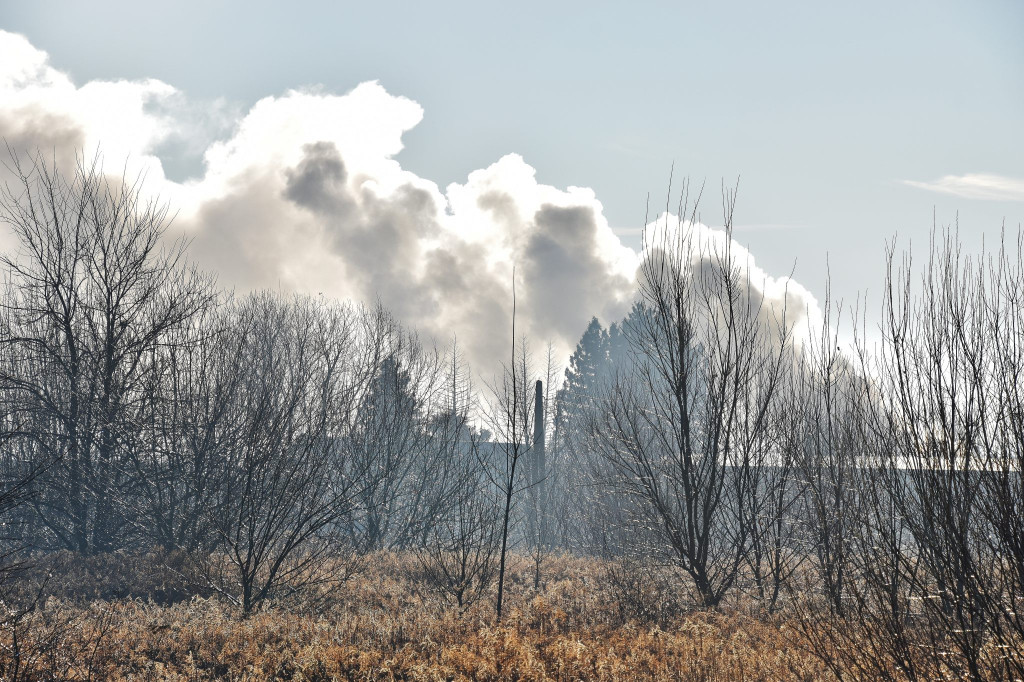 Pożar na Meblarskiej w Prudniku [FOTO/WIDEO] [AKTUALIZACJA]