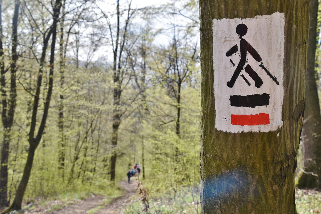 Z kijkami lub biegiem. Mistrzostwa Polski w Prudniku - Lesie [WIDEO/FOTO - cz. 1]