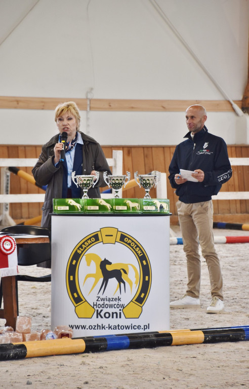 Śląsko-opolski czempionat z sukcesami prudnickich koni [FOTO/WIDEO]