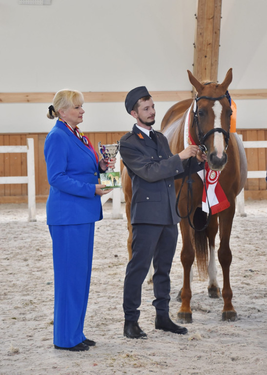 Śląsko-opolski czempionat z sukcesami prudnickich koni [FOTO/WIDEO]