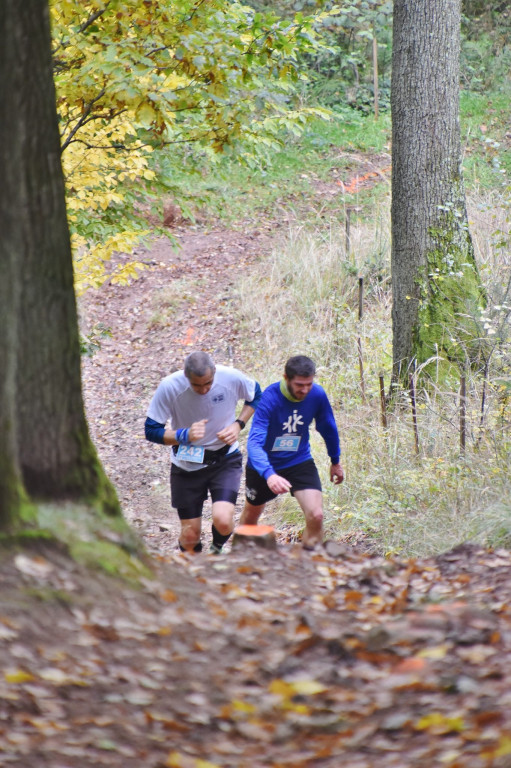IV Półmaraton Górski w Prudniku - Lesie [FOTO - cz. 1]
