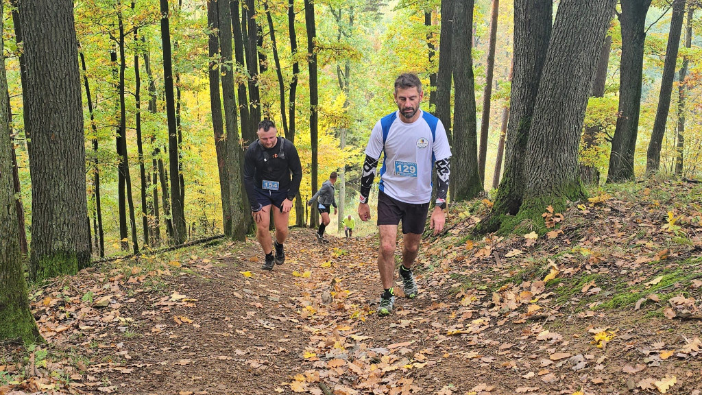IV Półmaraton Górski w Prudniku - Lesie [FOTO - cz. 1]