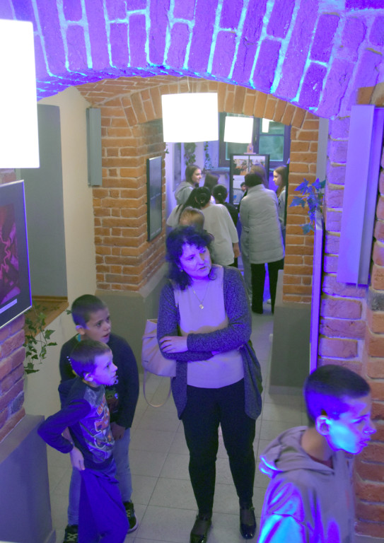 Zakończenie Dni Kultury Romskiej