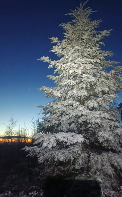 Na Biskupiej Kopie śnieg, a na Pradziadzie siarczysty mróz [FOTO]