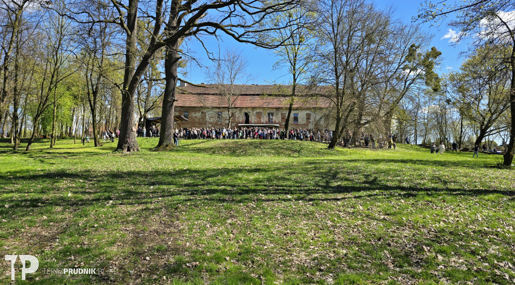 V Zajączek w Pałacu Rozkochów