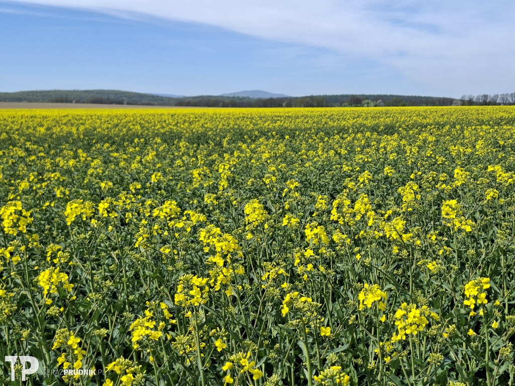 Z Prudnika do Slezskich Pavlovic