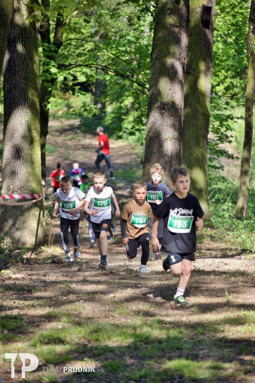 Parkowy Bieg PL-CZ
