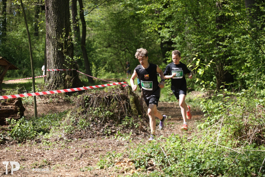 Parkowy Bieg PL-CZ