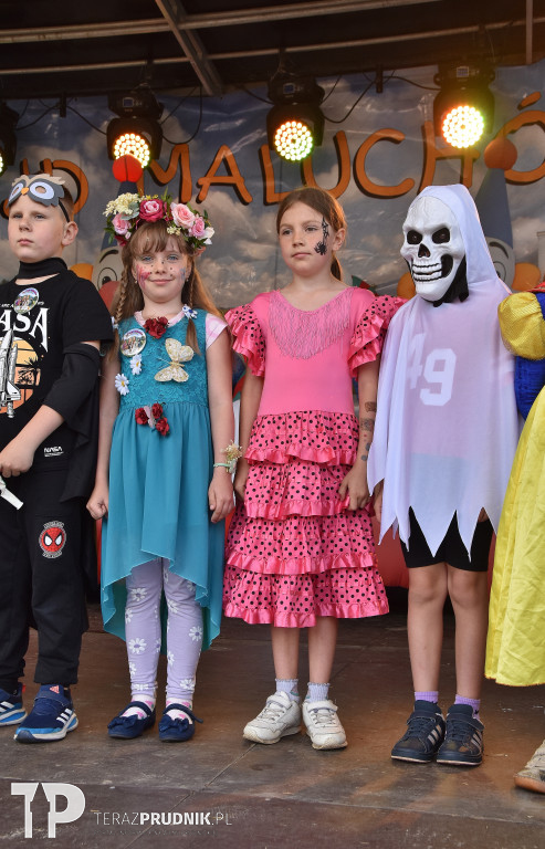 44. Rajd Maluchów - piknik w Chocimiu