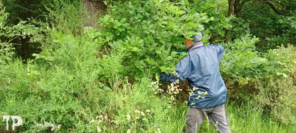 Renowacja szlaków w Górach Opawskich