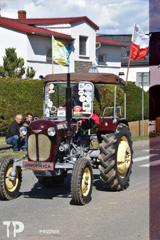 VIII Zlot Zabytkowych Ciągników OLD-ROL w Solcu