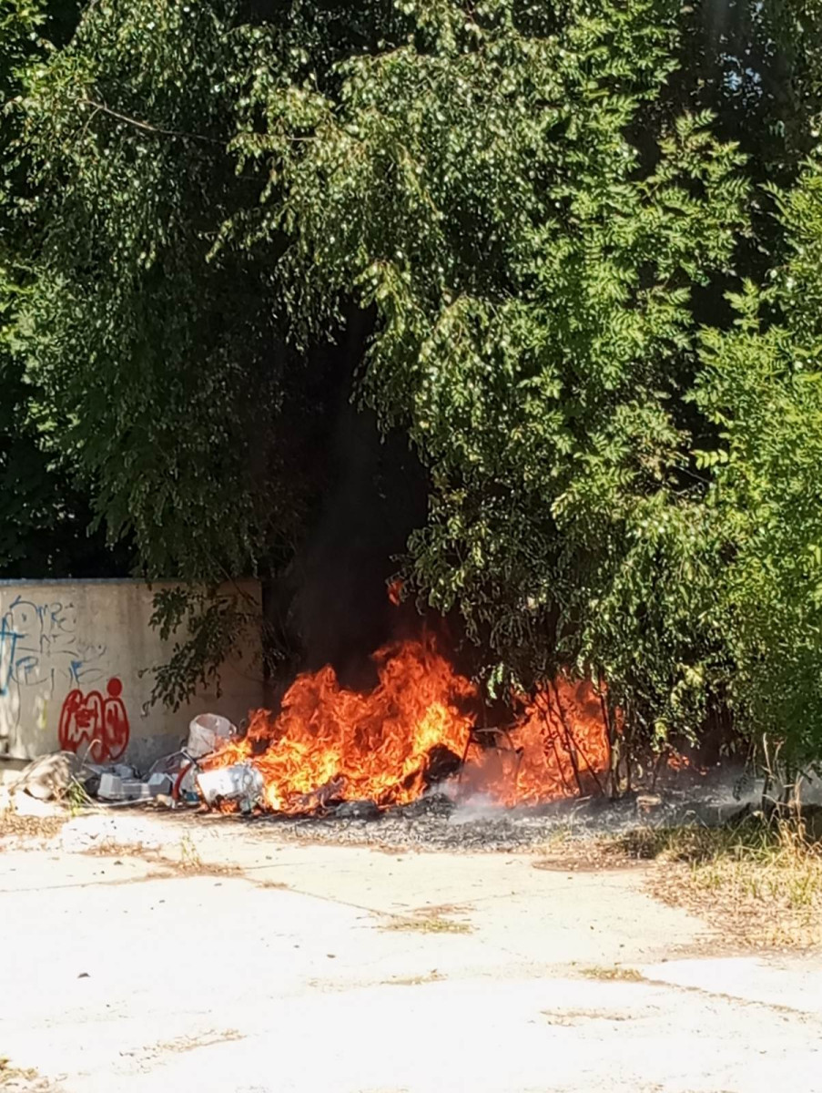 (fot. czytelnik)