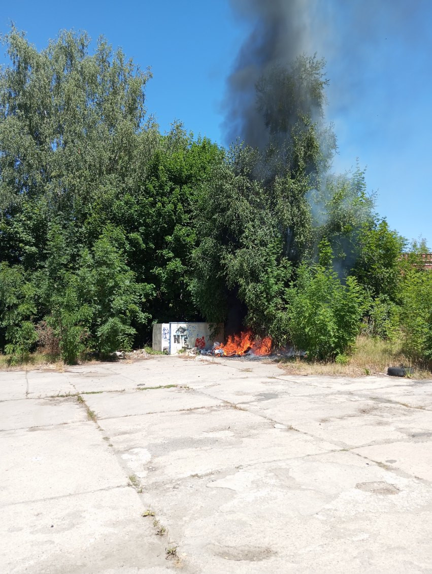 (fot. czytelnik)