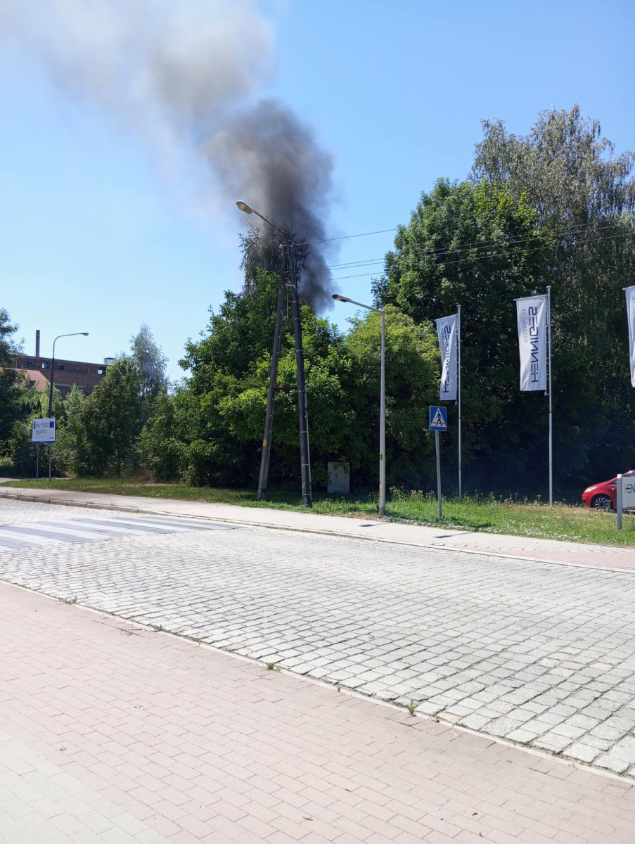 (fot. czytelnik)