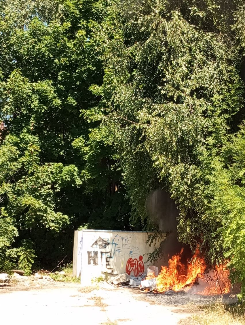 (fot. czytelnik)