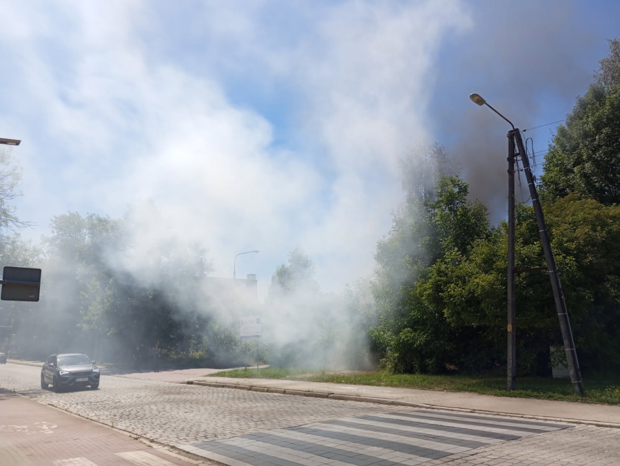 (fot. czytelnik)