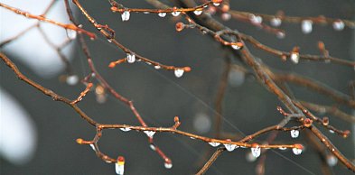 Prognoza pogody na weekend (22-23.11)