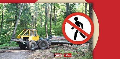 Czesi zamknęli ważny szlak. Przyczyną prowadzone prace [MAPA]