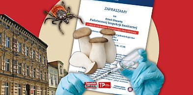 Dzień Otwarty. Praktyczna wiedza w zasięgu ręki
