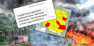 Uwaga! W lasach najwyższy poziom zagrożenia pożarowego